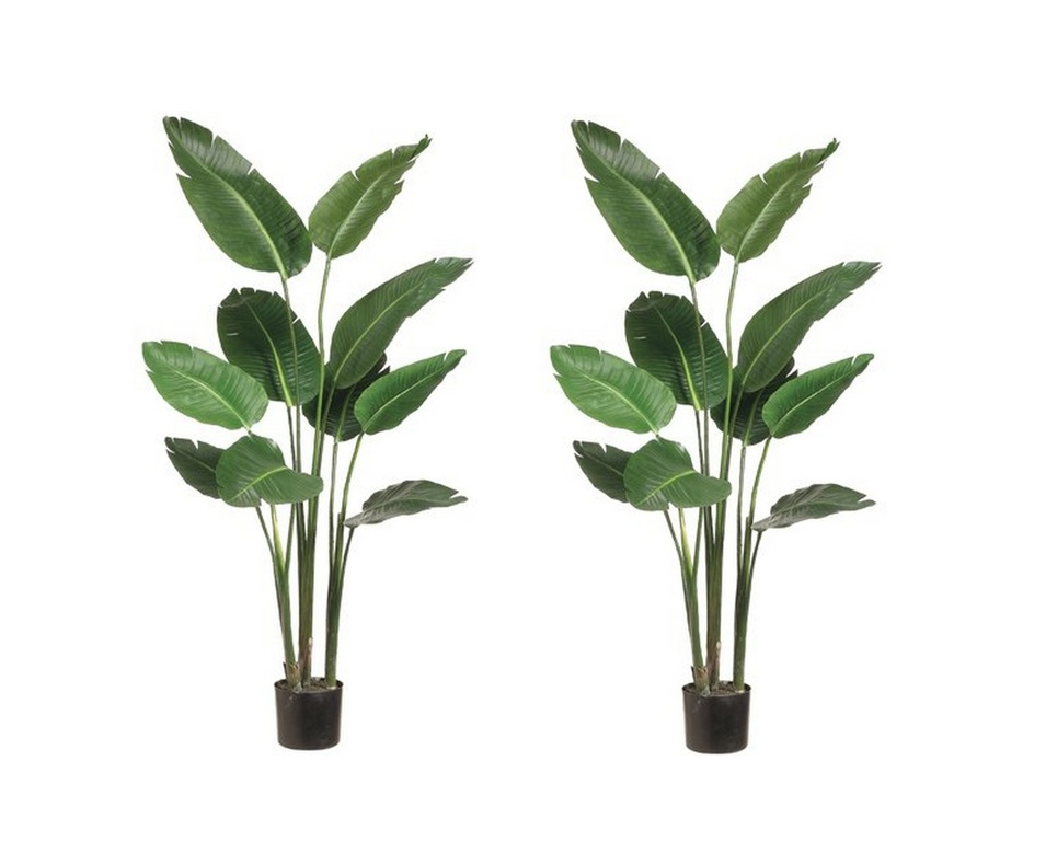 Faux sure Fake trees that look real to spruce up your NYC apartment